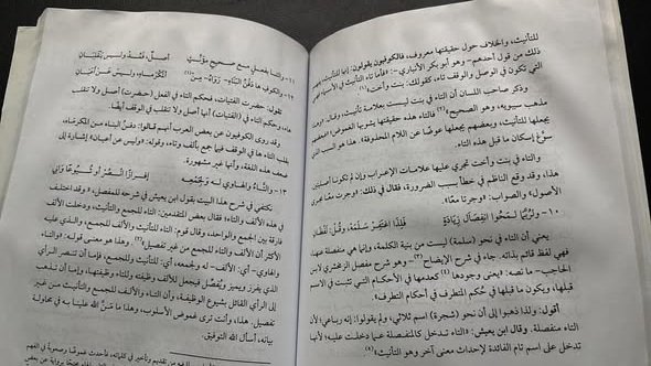 اللغة العربية وتطبيقاتها العملية في وسائل الإعلام